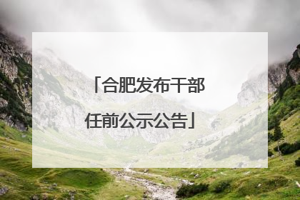 合肥发布干部任前公示公告