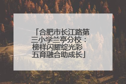 合肥市长江路第三小学兰亭分校：榜样闪耀绽光彩 五育融合助成长