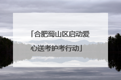 合肥蜀山区启动爱心送考护考行动
