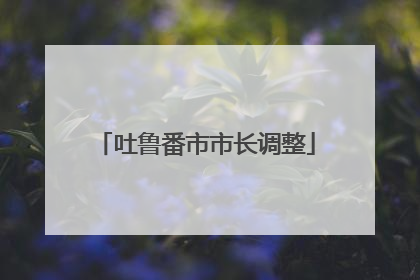 吐鲁番市市长调整