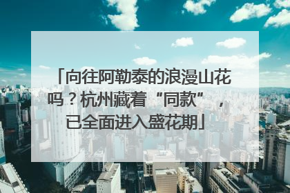 向往阿勒泰的浪漫山花吗？杭州藏着“同款”，已全面进入盛花期