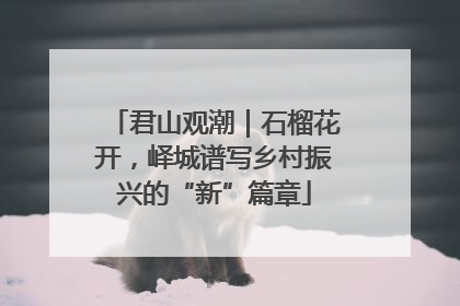 君山观潮｜石榴花开，峄城谱写乡村振兴的“新”篇章