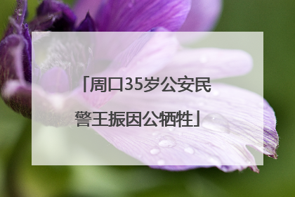 周口35岁公安民警王振因公牺牲