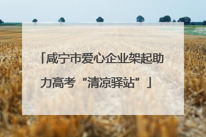 咸宁市爱心企业架起助力高考“清凉驿站”