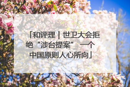 和评理｜世卫大会拒绝“涉台提案” 一个中国原则人心所向