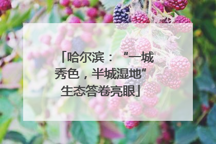 哈尔滨：“一城秀色，半城湿地”生态答卷亮眼