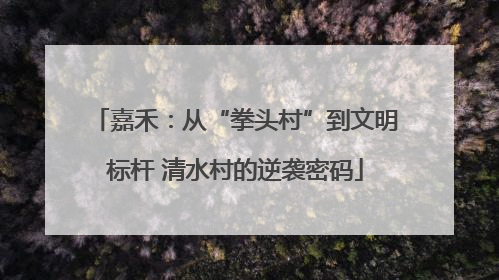 嘉禾：从“拳头村”到文明标杆 清水村的逆袭密码