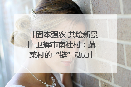 固本强农 共绘新景 ︳卫辉市南社村：蔬菜村的“链”动力