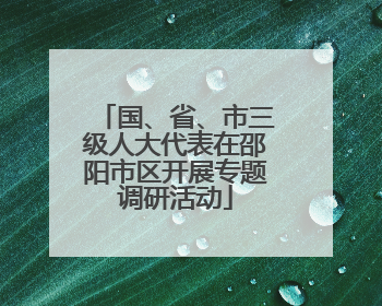 国、省、市三级人大代表在邵阳市区开展专题调研活动