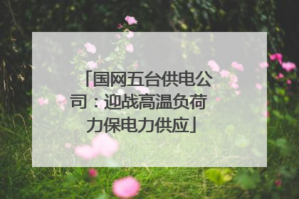 国网五台供电公司：迎战高温负荷 力保电力供应