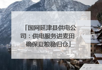 国网延津县供电公司：供电服务进麦田 确保夏粮稳归仓