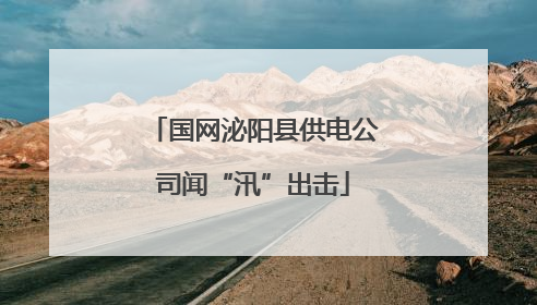 国网泌阳县供电公司闻“汛”出击