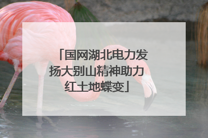 国网湖北电力发扬大别山精神助力红土地蝶变