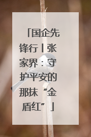 国企先锋行丨张家界：守护平安的那抹“金盾红”