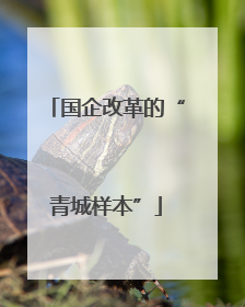 国企改革的“青城样本”
