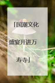 国潮文化盛宴开进万寿寺