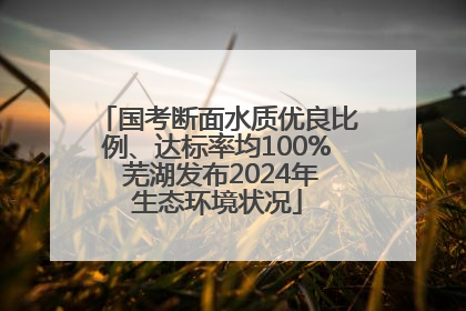 国考断面水质优良比例、达标率均100% 芜湖发布2024年生态环境状况