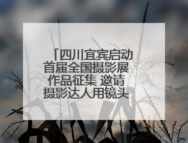 四川宜宾启动首届全国摄影展作品征集 邀请摄影达人用镜头捕捉城市之美