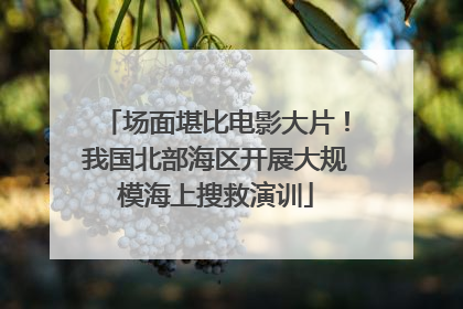 场面堪比电影大片！我国北部海区开展大规模海上搜救演训