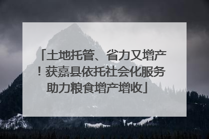 土地托管、省力又增产！获嘉县依托社会化服务助力粮食增产增收