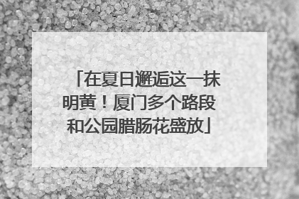 在夏日邂逅这一抹明黄！厦门多个路段和公园腊肠花盛放