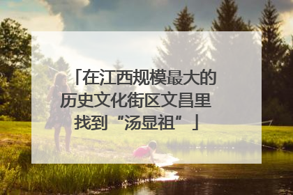 在江西规模最大的历史文化街区文昌里找到“汤显祖”