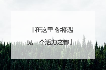 在这里 你将遇见一个活力之都