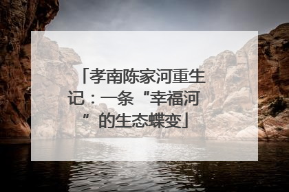 孝南陈家河重生记：一条“幸福河”的生态蝶变