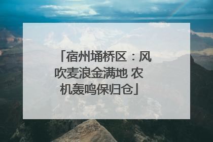 宿州埇桥区：风吹麦浪金满地 农机轰鸣保归仓