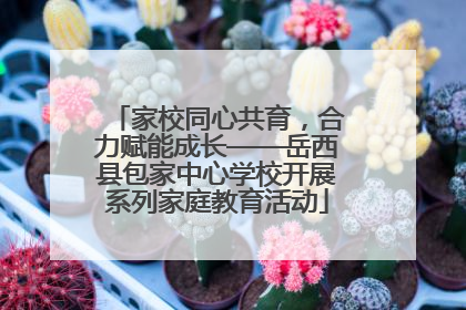 家校同心共育，合力赋能成长——岳西县包家中心学校开展系列家庭教育活动