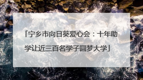 宁乡市向日葵爱心会：十年助学让近三百名学子圆梦大学