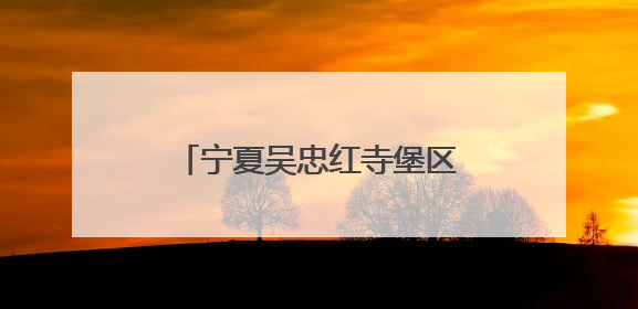 宁夏吴忠红寺堡区总工会开展“携手童行”主题慰问活动