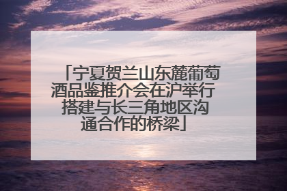 宁夏贺兰山东麓葡萄酒品鉴推介会在沪举行 搭建与长三角地区沟通合作的桥梁