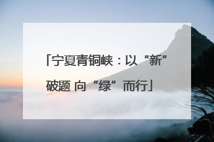 宁夏青铜峡：以“新”破题 向“绿”而行