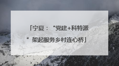 宁夏：“党建+科特派”架起服务乡村连心桥