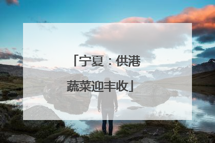 宁夏：供港蔬菜迎丰收