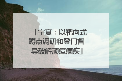 宁夏：以靶向式蹲点调研和登门督导破解顽瘴痼疾