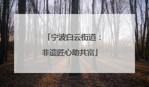 宁波白云街道：非遗匠心助共富