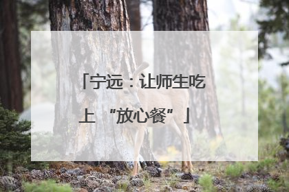 宁远：让师生吃上 “放心餐”
