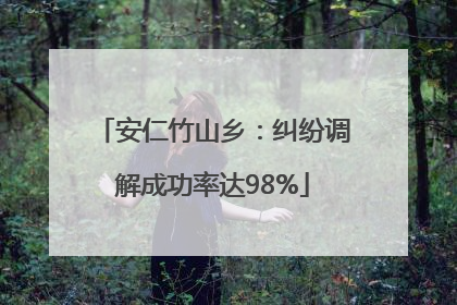 安仁竹山乡：纠纷调解成功率达98%
