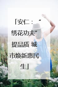 安仁：“绣花功夫”提品质 城市焕新惠民生