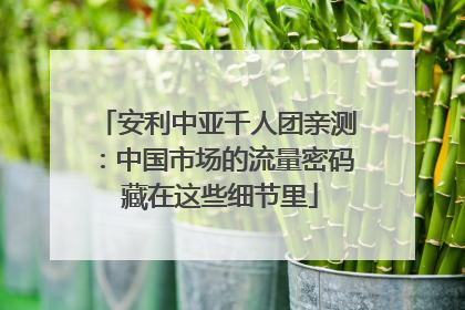 安利中亚千人团亲测：中国市场的流量密码 藏在这些细节里