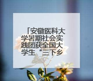 安徽医科大学暑期社会实践团获全国大学生“三下乡”社会实践活动优秀团队