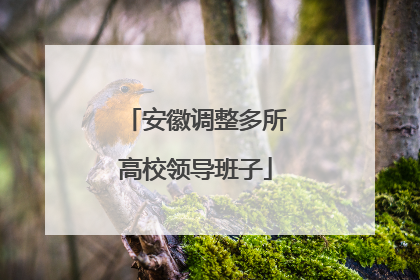安徽调整多所高校领导班子