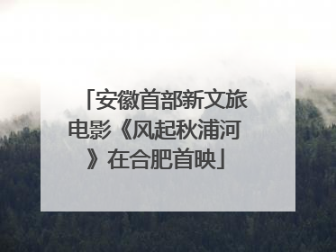 安徽首部新文旅电影《风起秋浦河》在合肥首映