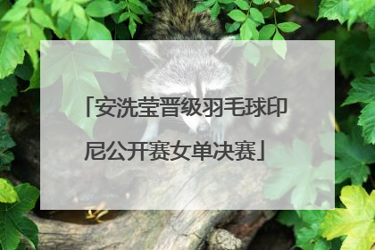 安洗莹晋级羽毛球印尼公开赛女单决赛
