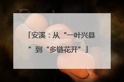 安溪：从“一叶兴县”到“多链花开”