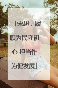 宋超：履职为民守初心 担当作为促发展
