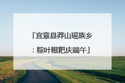 宜章县莽山瑶族乡：粽叶糍粑庆端午