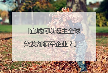 宜城何以诞生全球染发剂领军企业？